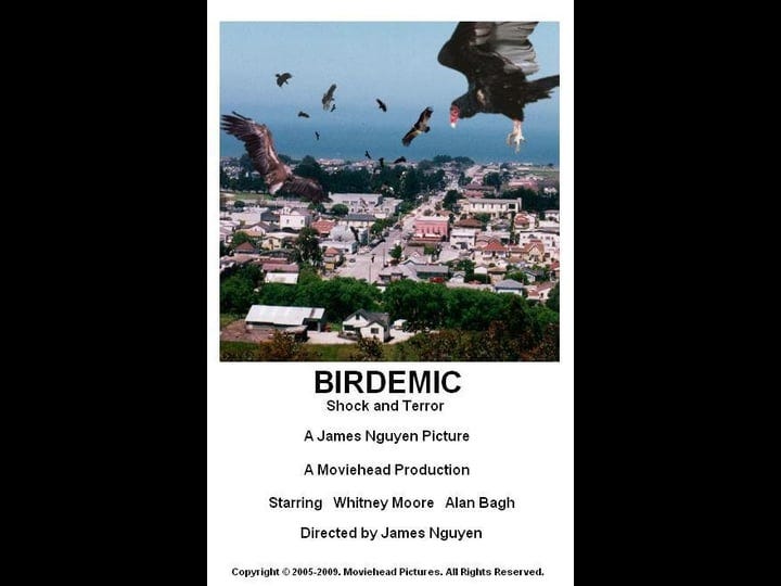 birdemic-shock-and-terror-tt1316037-1