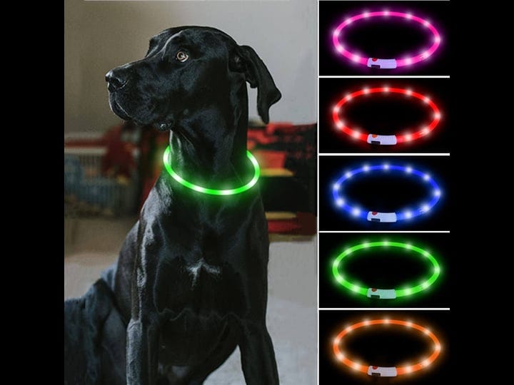 candofly-rechargeable-led-dog-collar-glow-in-the-dark-pet-safety-collar-cuttable-size-light-up-colla-1