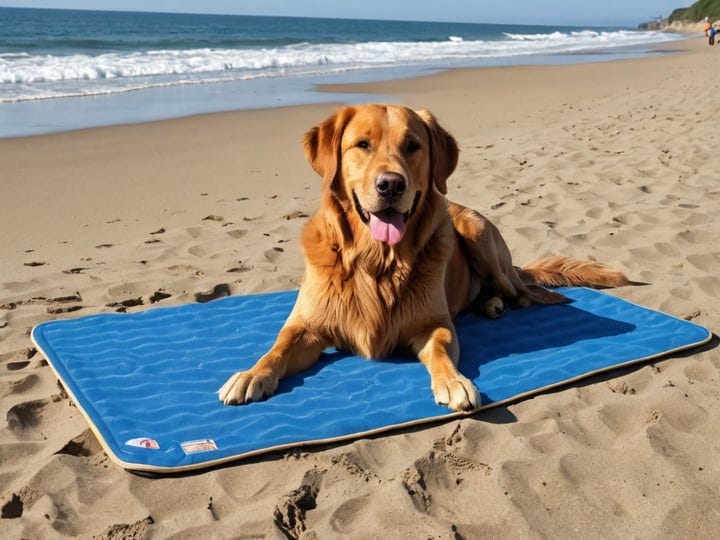 Dog-Cooling-Pad-6