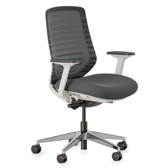 branch-office-furniture-ergonomic-chair-graphite-white-gray-1