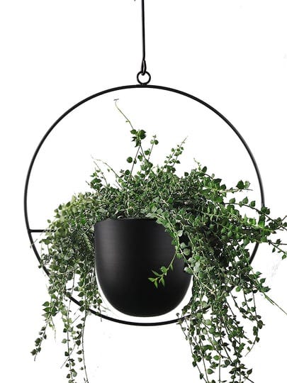 abetree-hanging-planter-for-indoor-plants-metal-mid-century-minimalist-wall-and-ceiling-hanging-plan-1