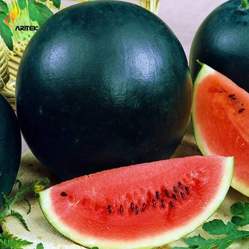 Heirloom Watermelon Seeds: Black Diamond Variety, Non-GMO, 50 Seeds | Image