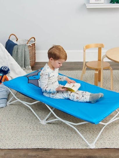 my-cot-pals-portable-toddler-bed-blue-raccoon-regalo-baby-1