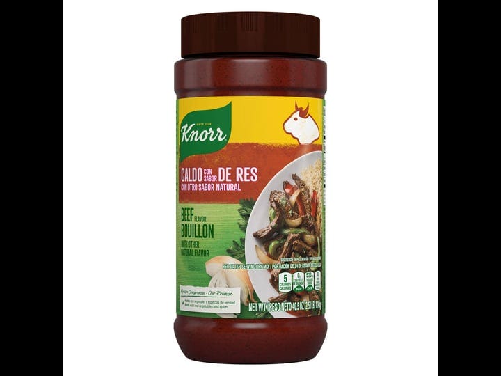 knorr-bouillon-granulated-beef-1