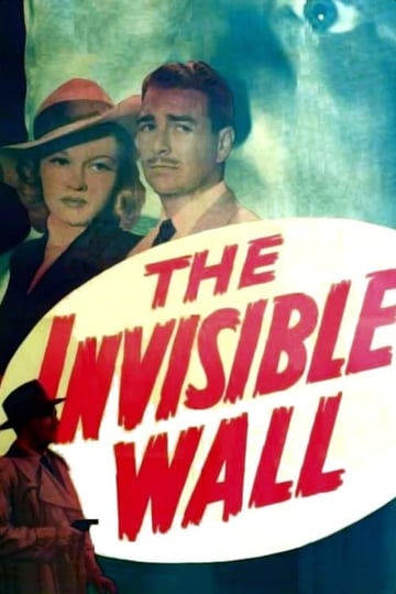 the-invisible-wall-4484911-1