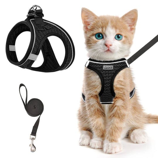 cat-harness-and-leash-for-walking-escape-proof-adjustable-kitten-vest-harness-reflective-soft-mesh-p-1