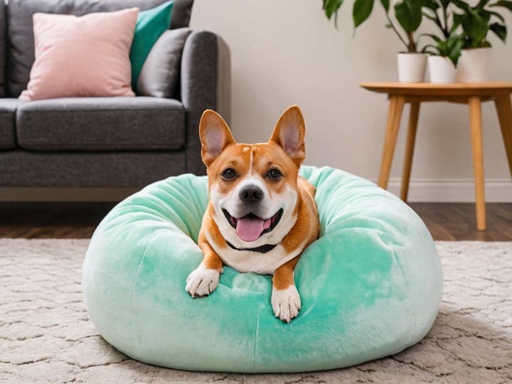 Squishmallow-Dog-Bed-3
