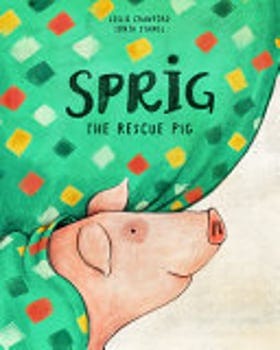 sprig-the-rescue-pig-398376-1