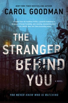 the-stranger-behind-you-540517-1