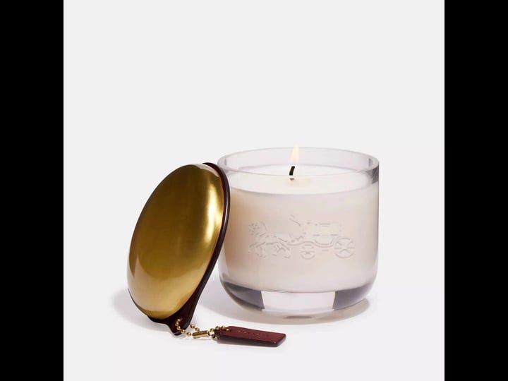 coach-holiday-candle-womens-wine-multi-1
