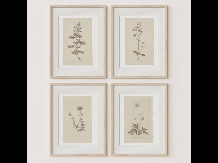 wall-art-botanical-plant-prints-vintage-flower-boho-minimalist-floral-artwork-neutral-decor-for-bedr-1