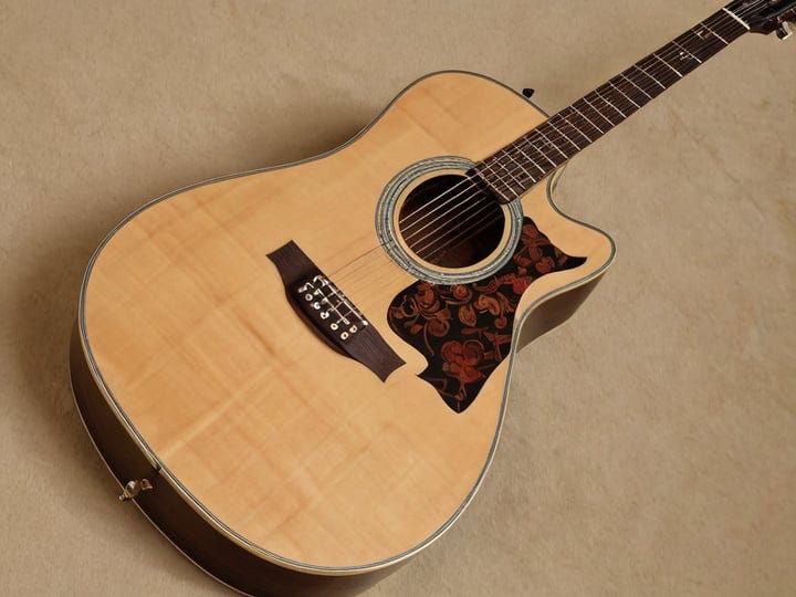 Takamine-Guitars-3