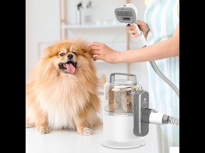 teendow-v10-pet-grooming-vacuum-kit-1