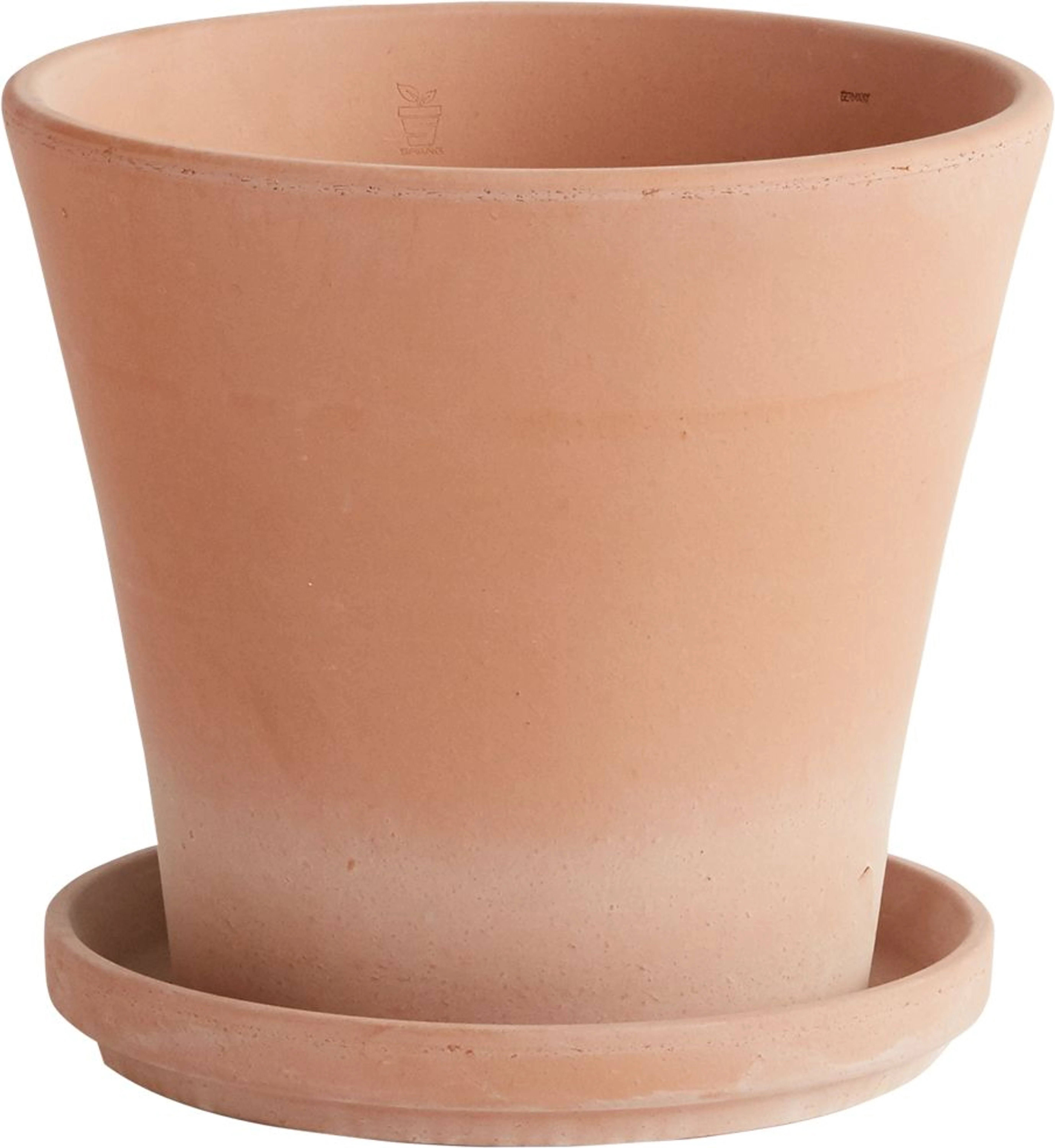 Terra Cotta Clay Pot with Drainage Hole and Saucer (9.5