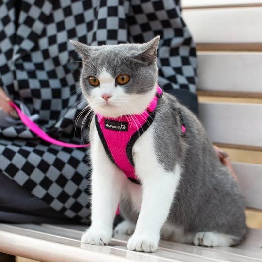 mr-peanuts-purrtrek-reflective-cat-harness-with-matching-leash-small-pink-1
