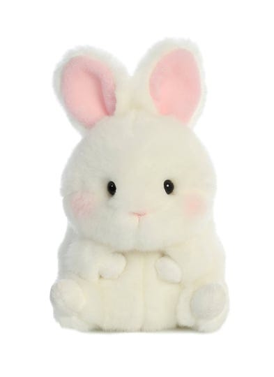 aurora-rolly-pet-5-bunbun-bunny-1