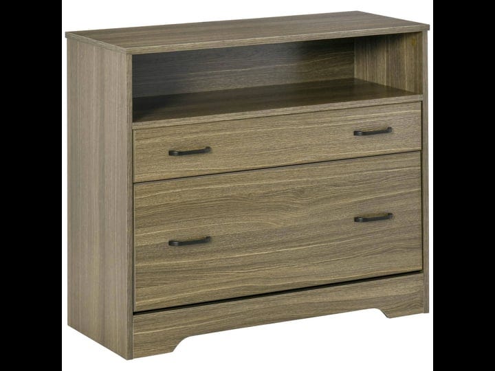 vinsetto-lateral-file-cabinet-with-shelf-2-drawer-filing-cabinet-for-letter-sized-papers-print-stand-1