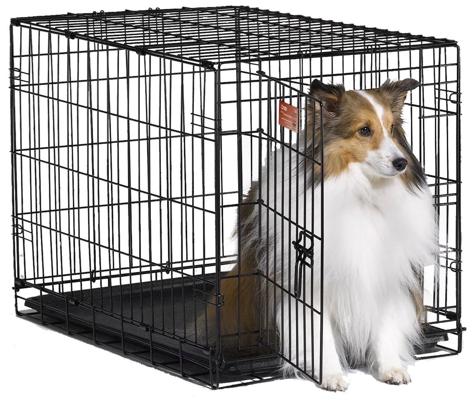 Foldable iCrate Single Door Dog Kennel by Midwest - Easy to Store and Set Up | Image