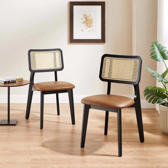 art-leon-mid-century-dining-chairs-set-of-2-genuine-leather-rattan-cane-back-with-ash-frame-black-1