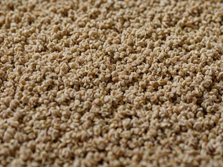Kitty-Litter-3