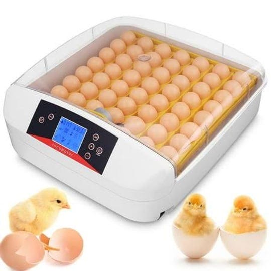 adnoom-55-eggs-incubator-digital-poultry-brooder-with-automatic-egg-turning-temperature-and-humidity-1
