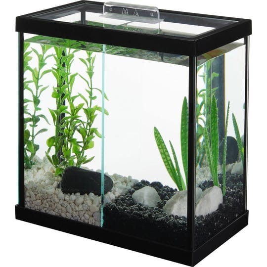 frisco-2-betta-aquarium-with-divider-top-1-gal-1