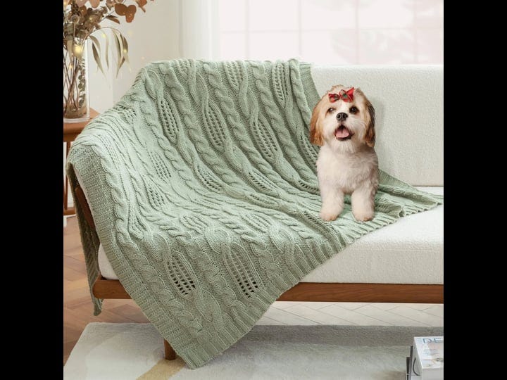 am-lie-home-sage-green-chunky-cable-knit-throw-blanket-fall-soft-cozy-farmhouse-throw-blankets-for-c-1