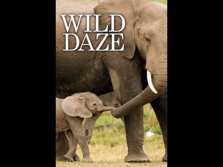 wild-daze-1318981-1
