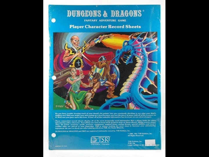 dungeons-and-dragons-character-record-sheet-book-1