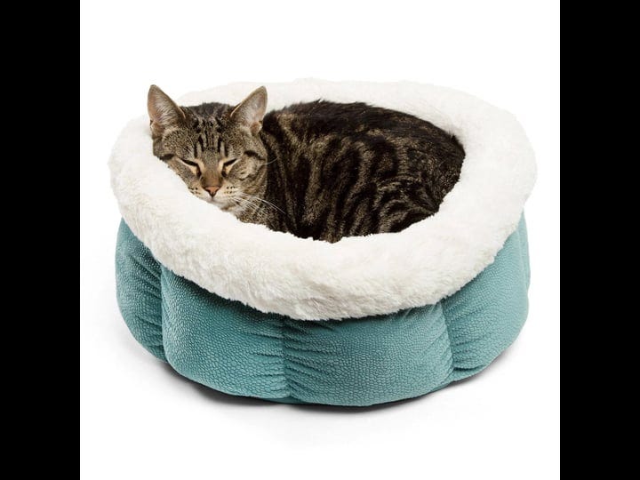 best-friends-by-sheri-cuddle-cup-dog-bed-tide-pool-blue-1