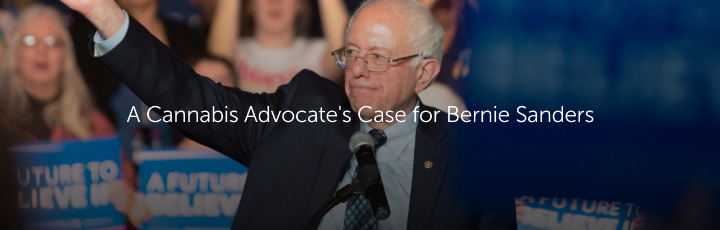 A Cannabis Advocate's Case for Bernie Sanders