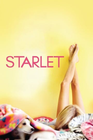 starlet-691710-1