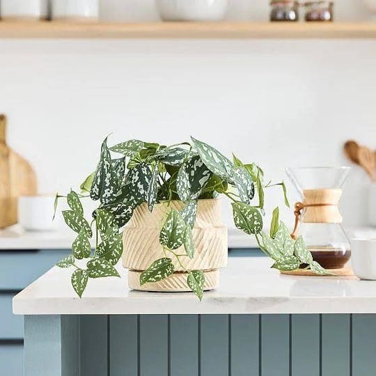 faux-potted-tabletop-green-leaf-plant-west-elm-1