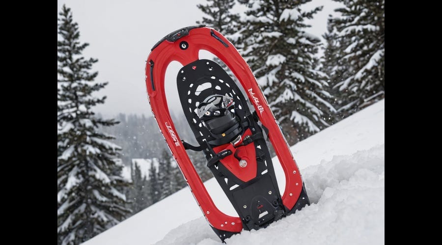 MSR-Evo-Snowshoe-And-Poles-Kit-1