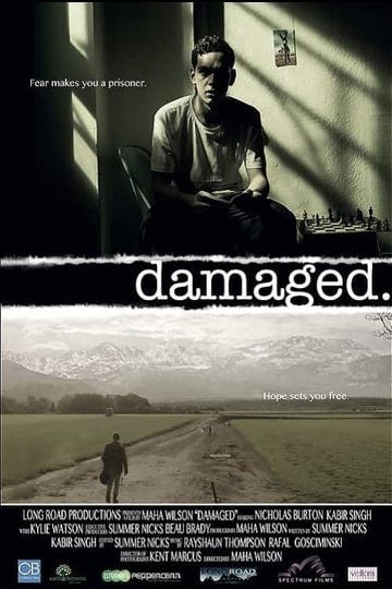 damaged-4576668-1