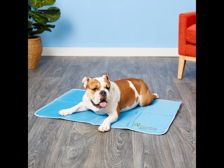 green-pet-shop-cool-pet-pad-large-1