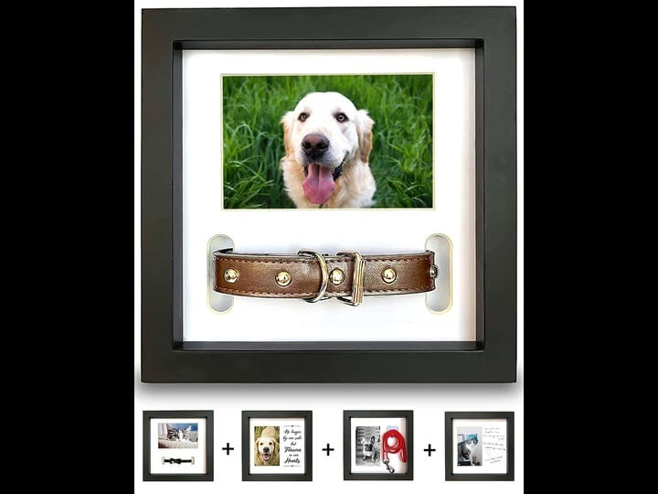 pawceptive-dog-memorial-picture-frame-with-5-display-options-dog-collar-memorial-frame-gift-cat-or-d-1