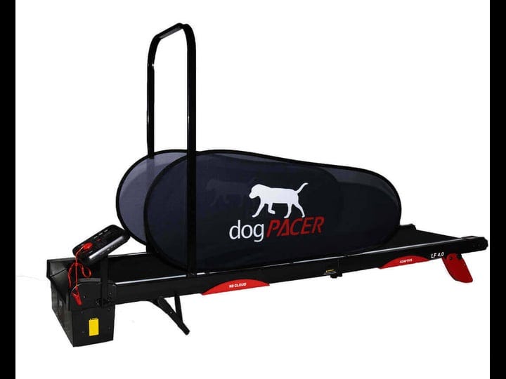 dogpacer-lf-4-0-smart-electric-dog-treadmill-1