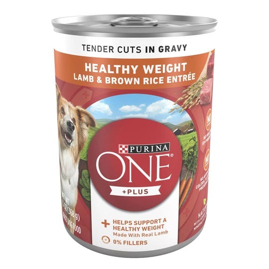 purina-one-wet-dog-food-wholesome-lamb-brown-rice-12-pack-13-oz-cans-1
