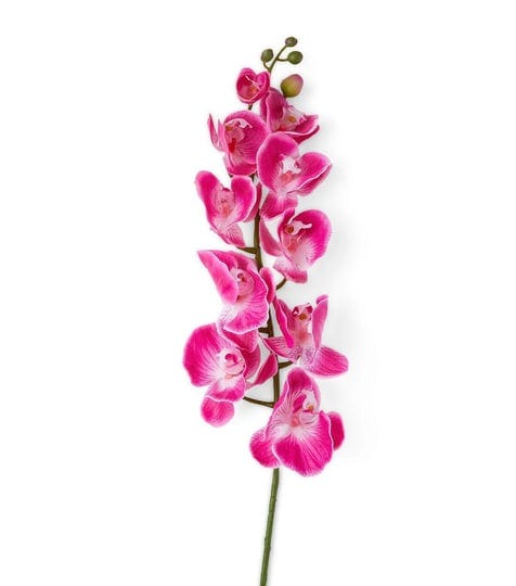 bloom-room-39-spring-pink-butterfly-orchid-stem-spring-floral-stems-seasons-occasions-1