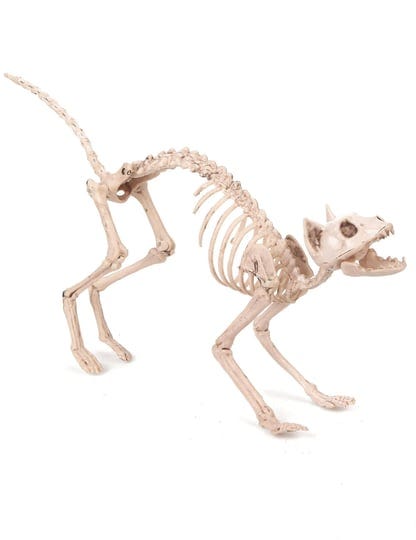 cat-skeleton-prop-1