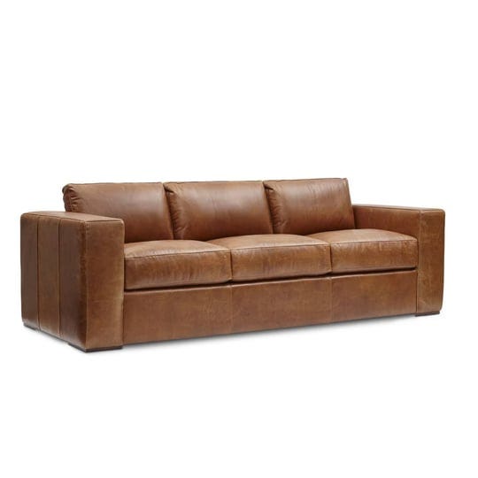 anthoni-leather-sleeper-sofa-hokku-designs-1