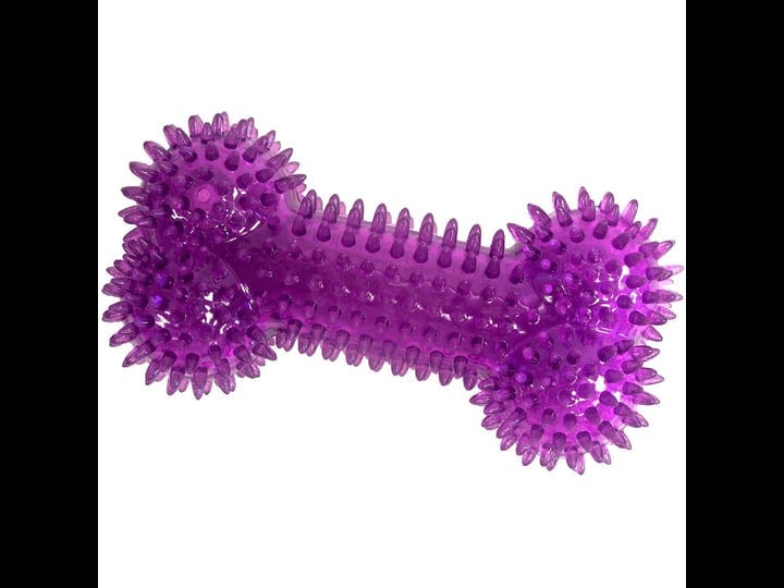 gnawsome-medium-squeaker-bone-1