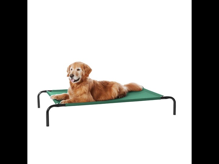 amazonbasics-elevated-cooling-pet-bed-green-large-1