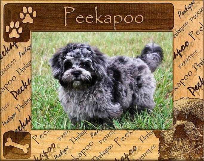 peekapoo-laser-engraved-wood-picture-frame-3-x-5-1