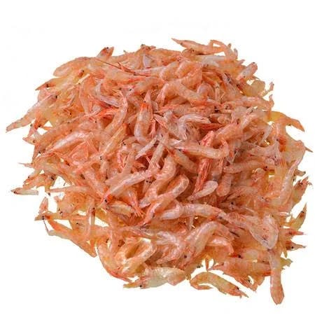 Buy One, Get One Free: Freshwater River Shrimp for Pet Lovers | Image