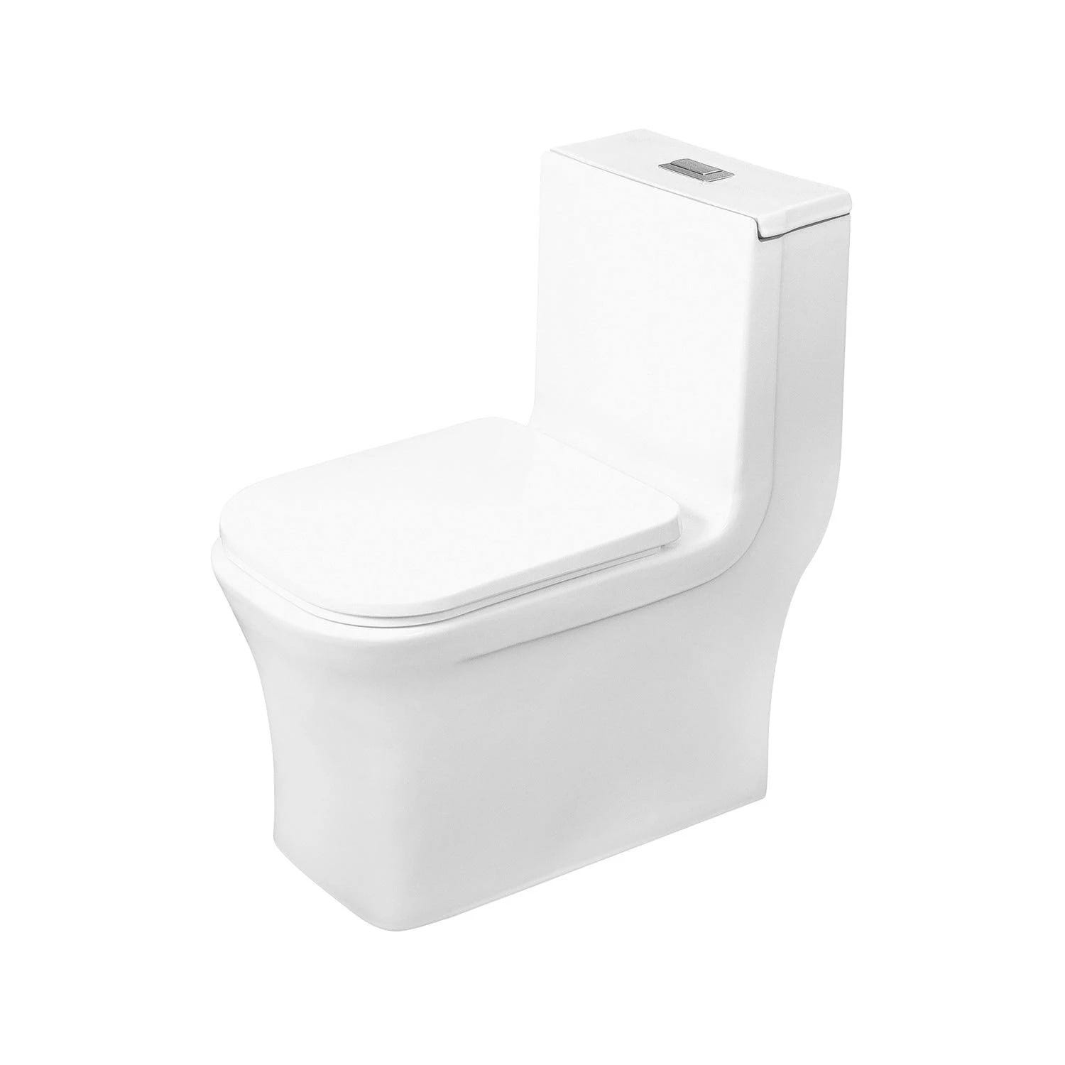 DAX One Piece Square Toilet with Soft Closing Seat and Dual Flush | Image