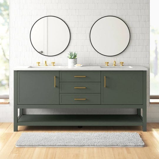 vicini-aireyana-72-double-bathroom-vanity-mercury-row-base-finish-vintage-green-1