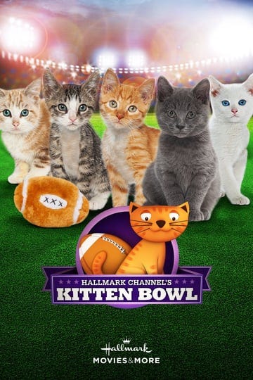 kitten-bowl-4364111-1