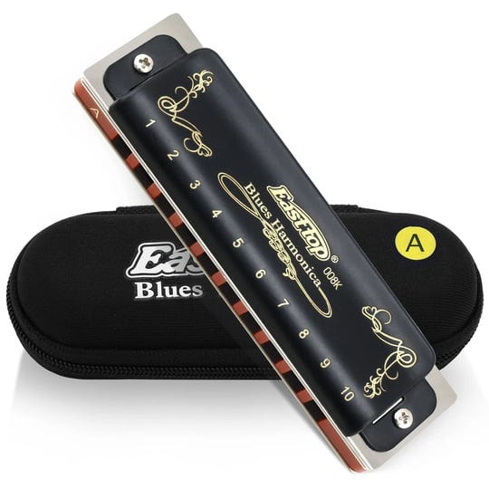 east-top-harmonica-key-of-a-10-hole-20-tone-diatonic-blues-harmonica-mouth-organ-with-case-top-grade-1